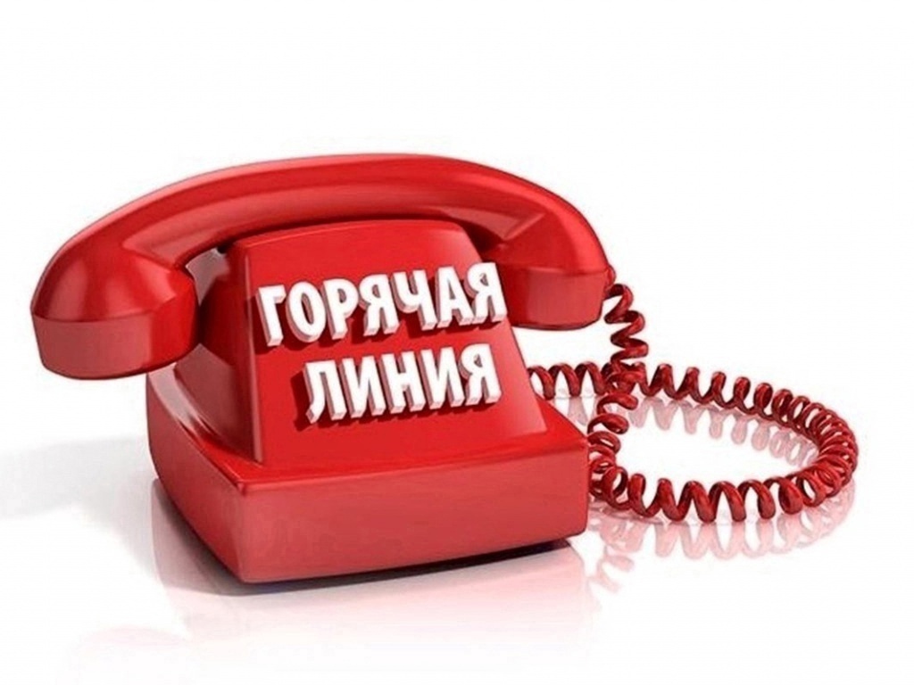 Пройдет горячая линия по предоставлению пособий зауральцам, имеющим детей Пройдет горячая линия по предоставлению пособий зауральцам, имеющим детей